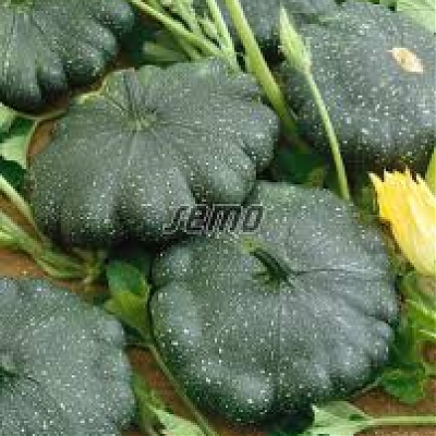 GREENDISC F1