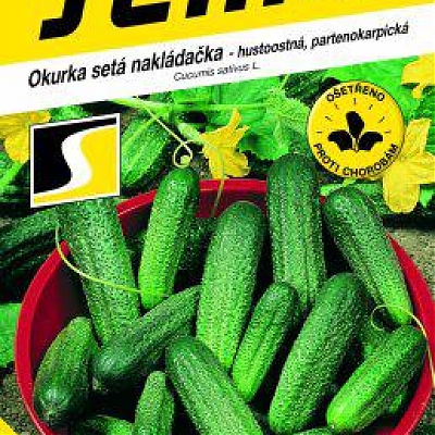 SONADA F1 - novinka
