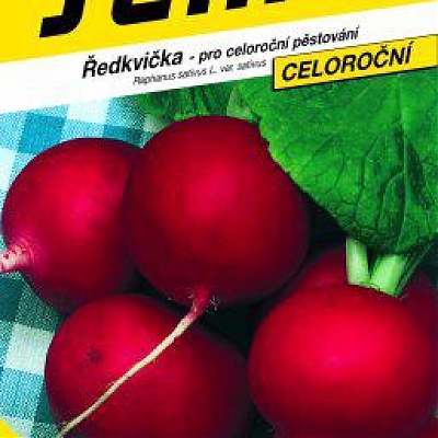 TERCIA - Redkvička