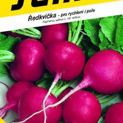 SEXTA - Redkvička
