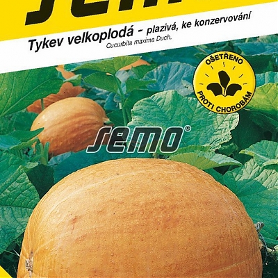 GOLIÁŠ (Cucurbita maxima Duch.) - Tekvice