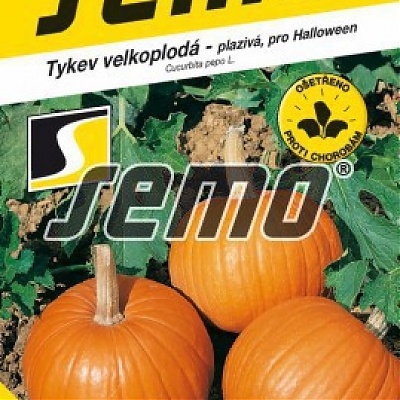 YELLOWGIRLS F1 (SM 951/06) - Tekvice