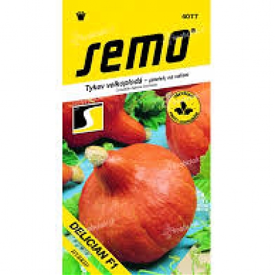 HOKKAIDO (Cucurbita maxima Duch.) - Tekvice