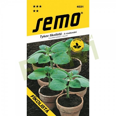 SM - TEKVICA FÍKOLISTÁ (Cucurbita ficifolia C.Bouche)