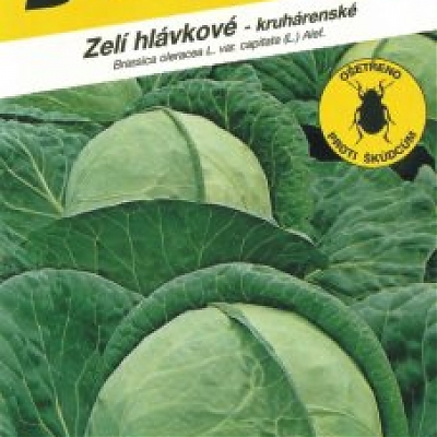 PAVLO F 1 - Kapusta hlávková