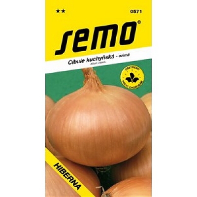 Hiberna - ozimná cibuľa - Cibuľa