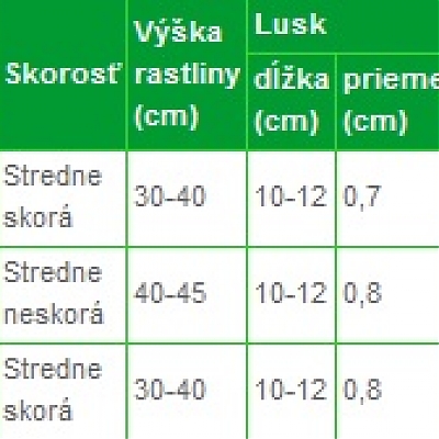 AIDAGOLD (žltostruková) - Fazuľa kríčková - na struky