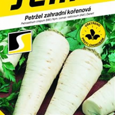 ATIKA - Petržlen koreňový