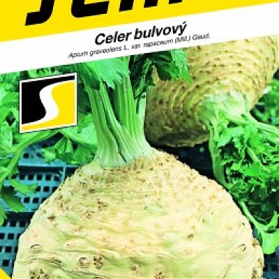 NEON - Zeler buľvový