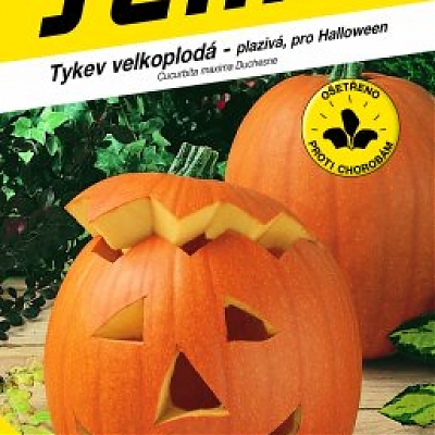 GGIGANTE (Cucurbita maxima Duch.) - Tekvice