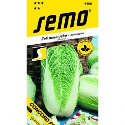 CONCORD F1 - Kapusta pekingská