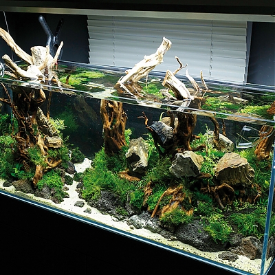 Akvárium a terarium na mieru v regióne Piešťany