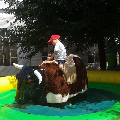Silomer býk