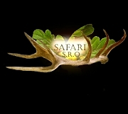 Poľovnícke zájazdy, organizovanie poľovníckych zájazdov