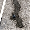 Pevnostná injektáž trhlín