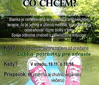 Prednáška Blanky Krhlovej na tému: Čo chcem?