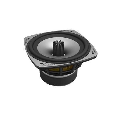 GOLDENEAR TECHNOLOGY