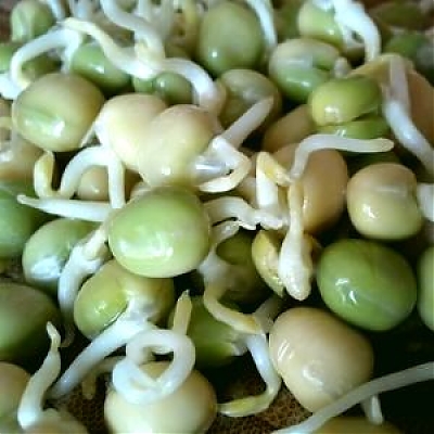 Hrach