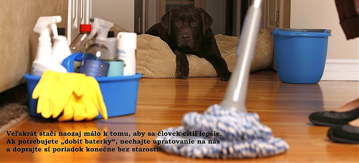 upratovacie služby Šamorín, pomocnica v domácnosti Šamorín, upratovanie domácnosti Šamorín, upratovačka Šamorín, upratovanie Šamorín, zemné práce Šamorín, výkopové práce Šamorín