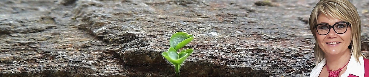 kineziológia Somorja, kineziológus Somorja, reiki Somorja, reiki Dunaszerdahely, reiki DUnajská Streda, reiki Šamorín, bach virágterápia Somorja, bach virágterápia Dunaszerdahely