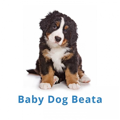 Baby dog Beáta Révész