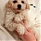 Maltipoo