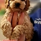 Cockapoo