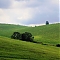 Silická planina
