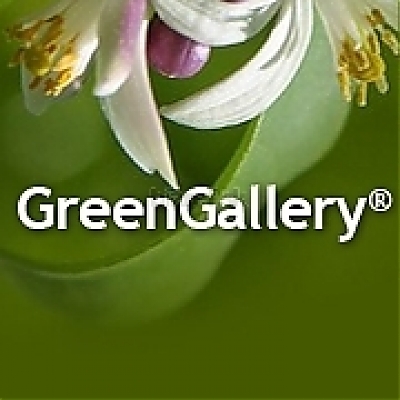 GREEN GALLERY, s.r.o.