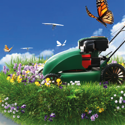 Trávne osivo na prekrásny trávnik s kvetmi, ktoré môžete kosiť